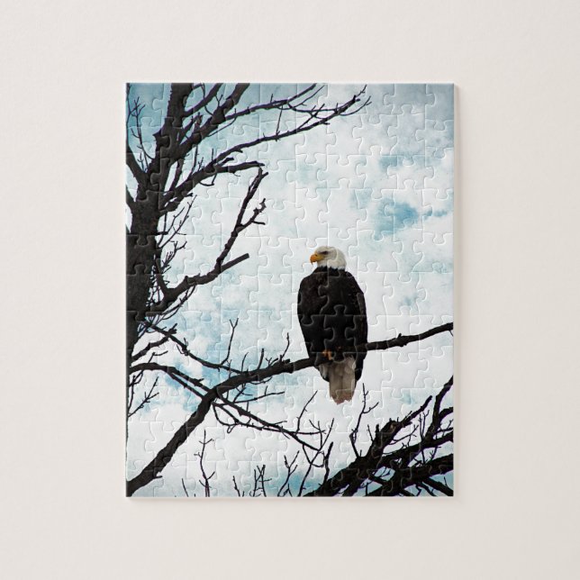 Puzzle Aigle à tête blanche dans un arbre avec ciel bleu  (Vertical)