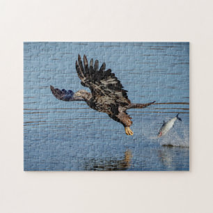 Puzzle Aigle à tête blanche immature qui dépose un poisso