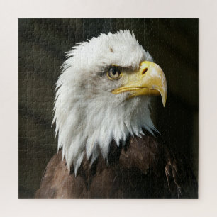 Puzzle aigle américain