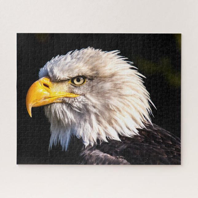 Puzzle Aigle de Bald (Horizontal)