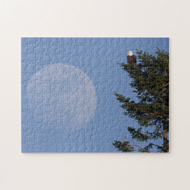 Puzzle Aigle de Bald | Pleine lune montante (Horizontal)