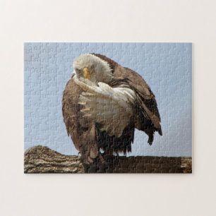 Puzzle Aigle (L'oiseau qui donne l'oiseau)