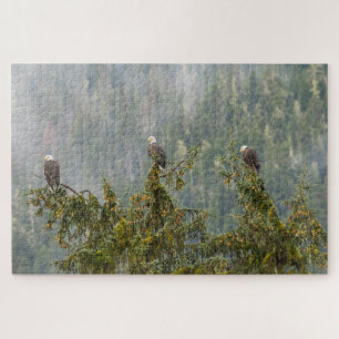 Puzzle Aigles royaux Forêt nationale de Tongass en Alas