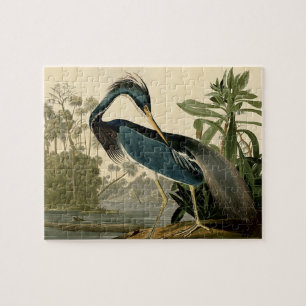 Puzzle Aigrette de Louisiane Audubon Oiseaux Amérique Art