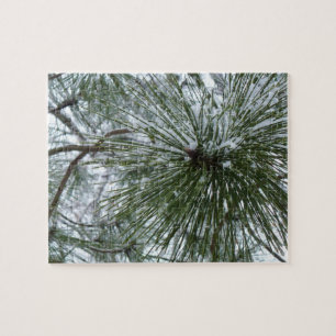 Puzzle Aiguilles de pin neigeux Hiver Nature Photographie