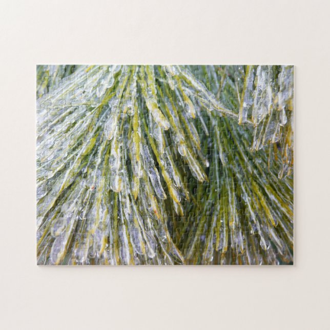 Puzzle Aiguilles de pin recouvert de glace Botanique hive (Horizontal)
