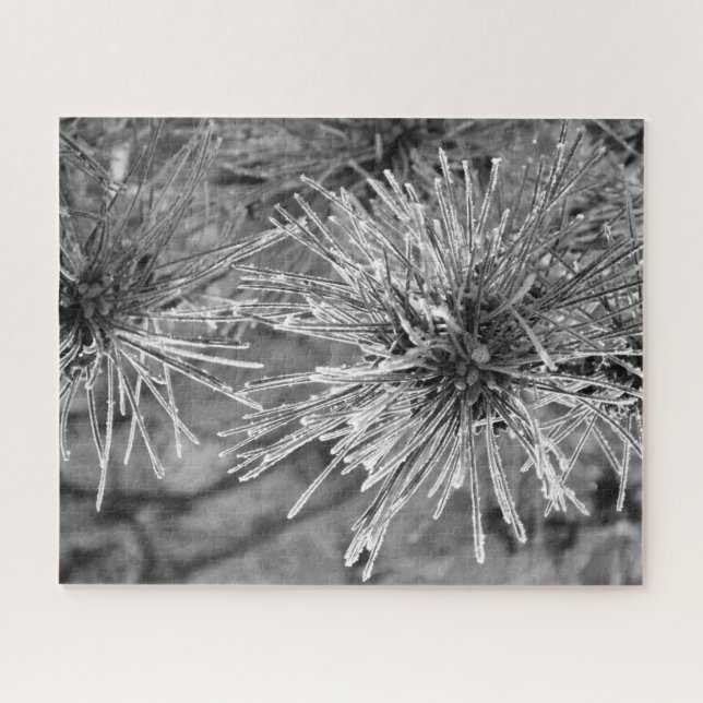 Puzzle Aiguilles de pin recouvertes de gel en noir et bla (Horizontal)