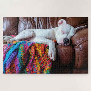 Puzzle Aimer Pitbull Chien Dormir sur le canapé