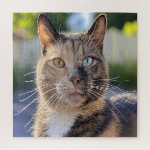 Puzzle Ajouter une Personnaliser photo de chat