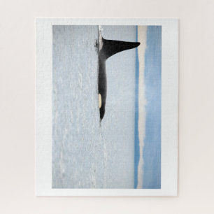 Puzzle Alaska - Orca