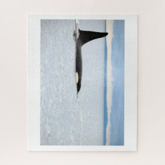 Puzzle Alaska - Orca