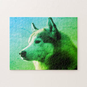 Puzzle Alaskan Malamute Chien photo Bleu vert
