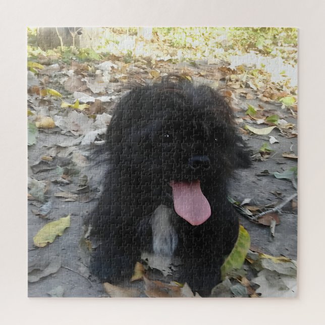 Puzzle Alerte chiot mignon (Vertical)
