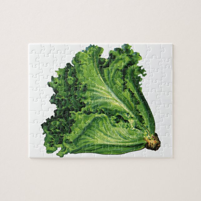 Puzzle Aliments Anciens, Légumes de Laitue à Feuilles Ver (Horizontal)