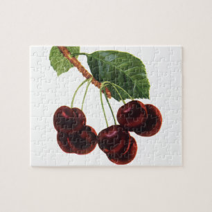 Puzzle Aliments vintages de fruits, Cerises mûres d'un ar
