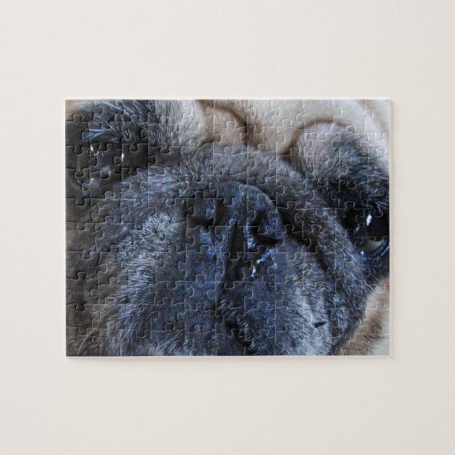 Puzzle Allez-y Bientôt Sick Carlin Chien (Horizontal)