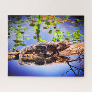 Puzzle Alligator