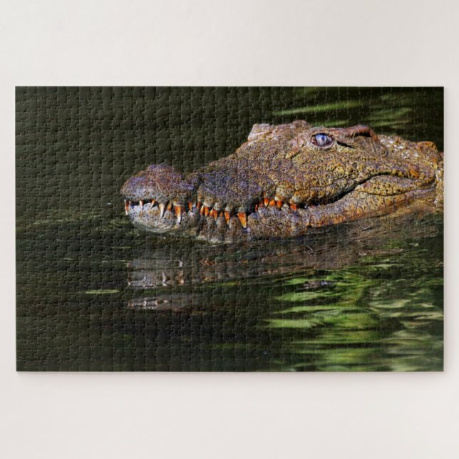 Puzzle Alligator (Horizontal)