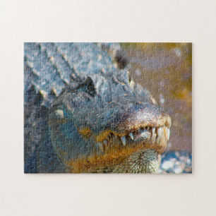Puzzle Alligator dans le Mississippi.