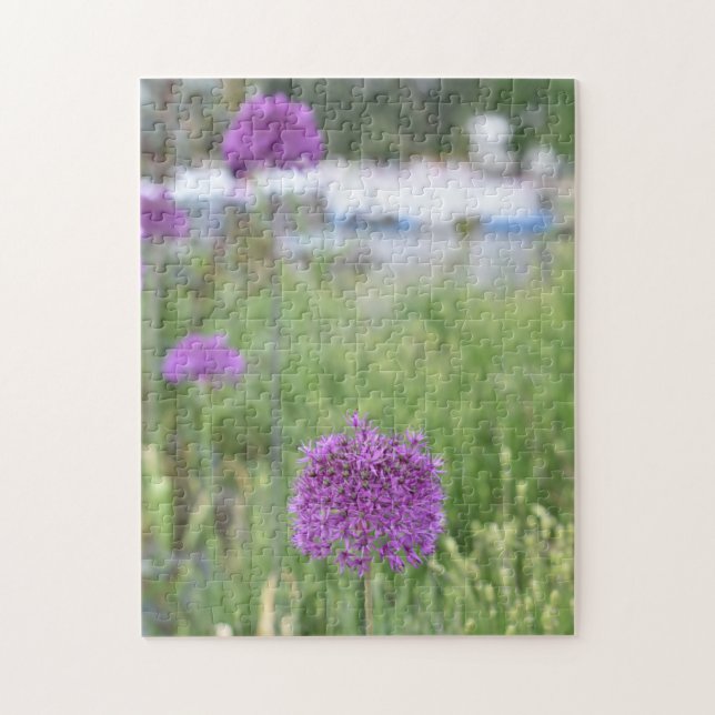 Puzzle Allium Flowers Stratford-Upon-Avon Warwickshire UK (Vertical)