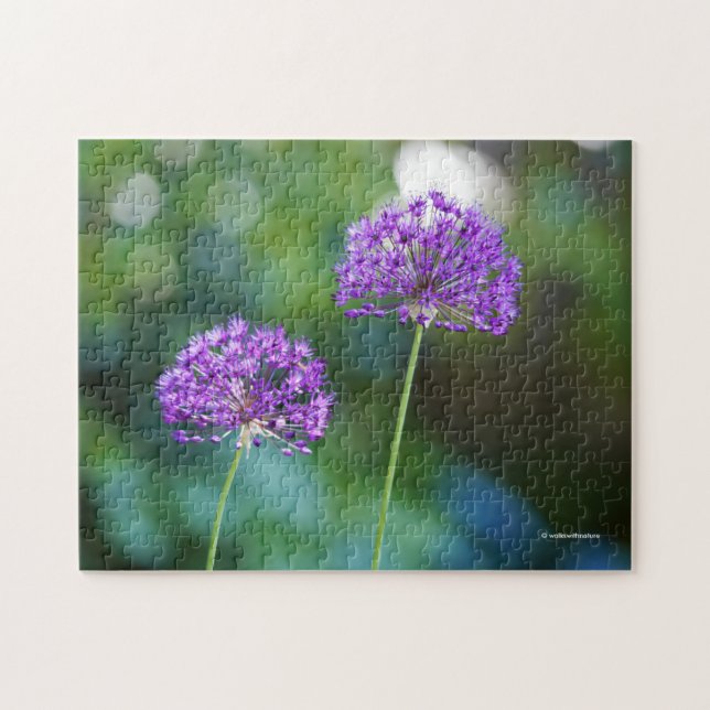 Puzzle Allium violet Giganteum Fleurs d'oignon géantes (Horizontal)