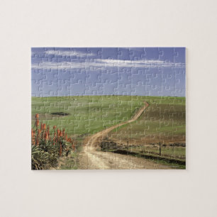 Puzzle Aloès fleurissant près de Caledon, le
