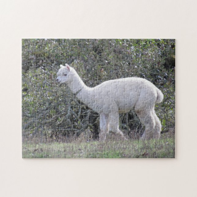 Puzzle - Alpaca blanc (Horizontal)
