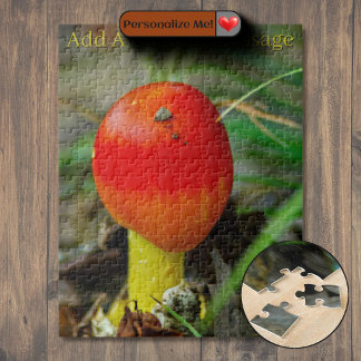 Puzzle Amanite de César de l'Est