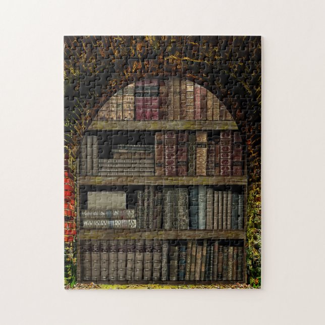 Puzzle Amateurs de livres de la bibliothèque Old Book (Vertical)