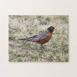 Puzzle Américain Robin
