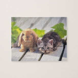 Puzzle Américain Shorthair et lapin