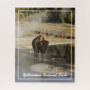 Puzzle American Bison Yellowstone Wildlife Photography