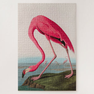 Puzzle American Flamant rose Birds of America Audubon Imp