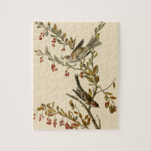 Puzzle American Tree Sparrow, les oiseaux d'Amérique d'Au