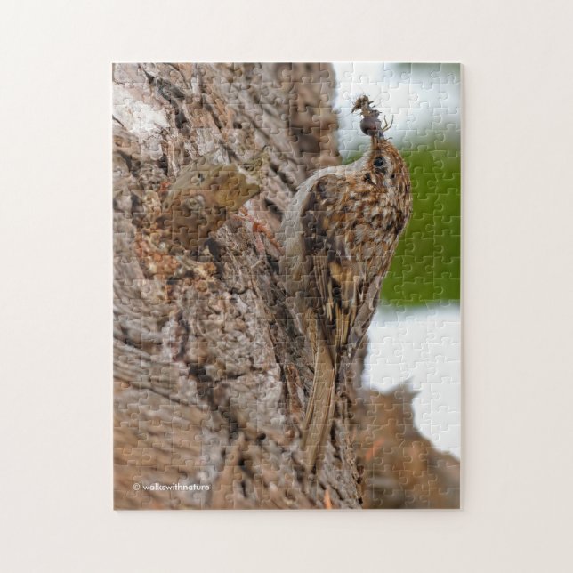 Puzzle American Treecreeper avec bug (Vertical)