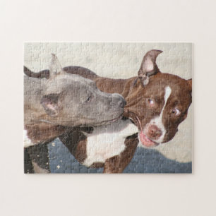 Puzzle Amis en jeu - Pipies Pitbull