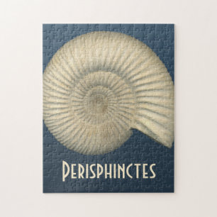 Puzzle Ammonite de Perisphinctes