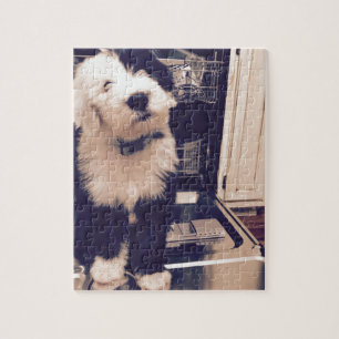 Puzzle Amour de chien de berger