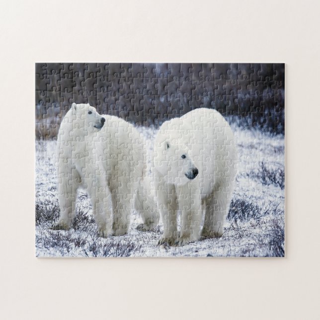 Puzzle Amour de l'ours polaire (Horizontal)