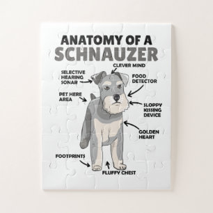 Puzzle Anatomie D'Un Chien Migneux Schnauzer Chien Chien