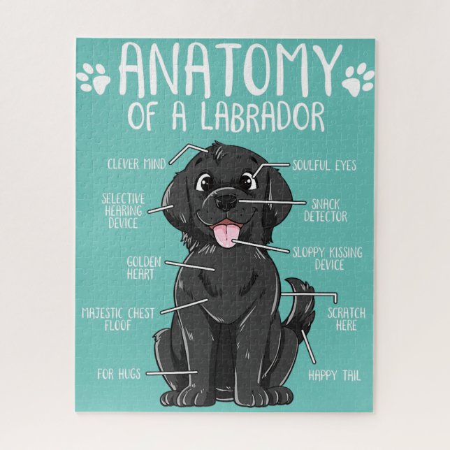 Puzzle anatomie labrador récupérateur noir chien propriét (Vertical)