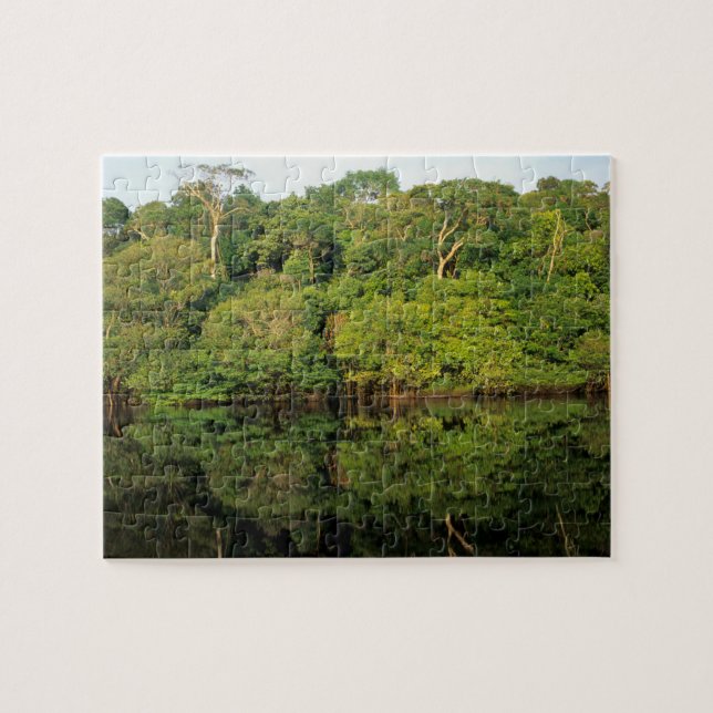 Puzzle Anavilhanas, Amazonas, Brésil. Rivière de la forêt (Horizontal)