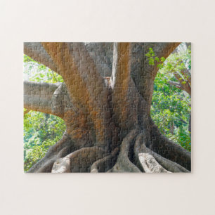 Puzzle Ancien arbre vieux de 200 ans - Jardin de Bangalor