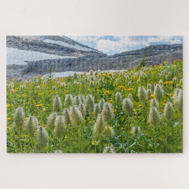 Puzzle Anémone pulsatille des montagnes East Kootenay | M (Horizontal)