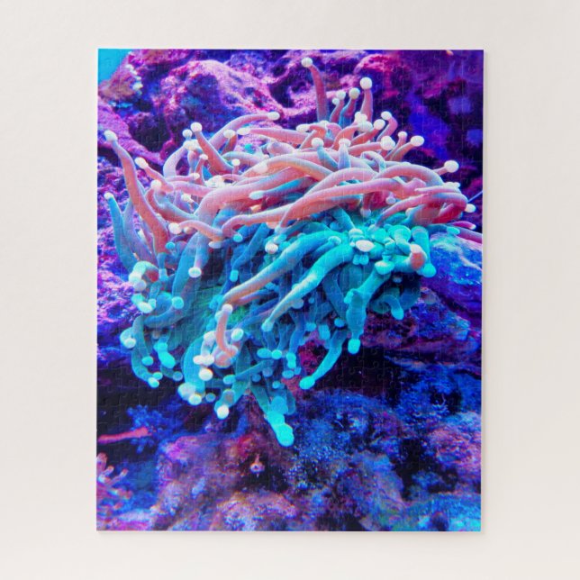 Puzzle Anémones de mer (Vertical)