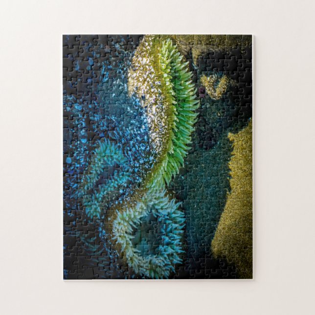 Puzzle Anémones de mer à Cox Bay, Tofino, C.-B. (Canada) (Vertical)