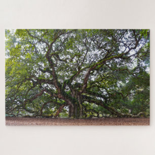 Puzzle Angel Oak, Caroline du Sud