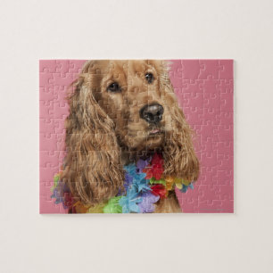 Puzzle Anglais Cocker Spaniel (10 mois)