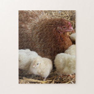 Puzzle animal, poulet, ferme, mignonette, oiseau, bébé,