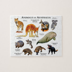 Puzzle Animaux d'Australie